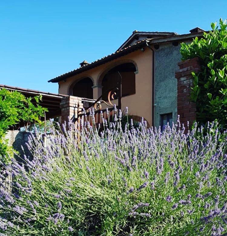 Bed and Breakfast Il Casolare à Penna Extérieur photo